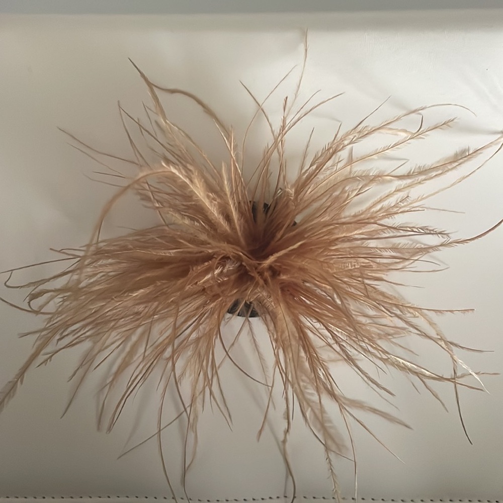 Feather Brooch Pin/Clip
